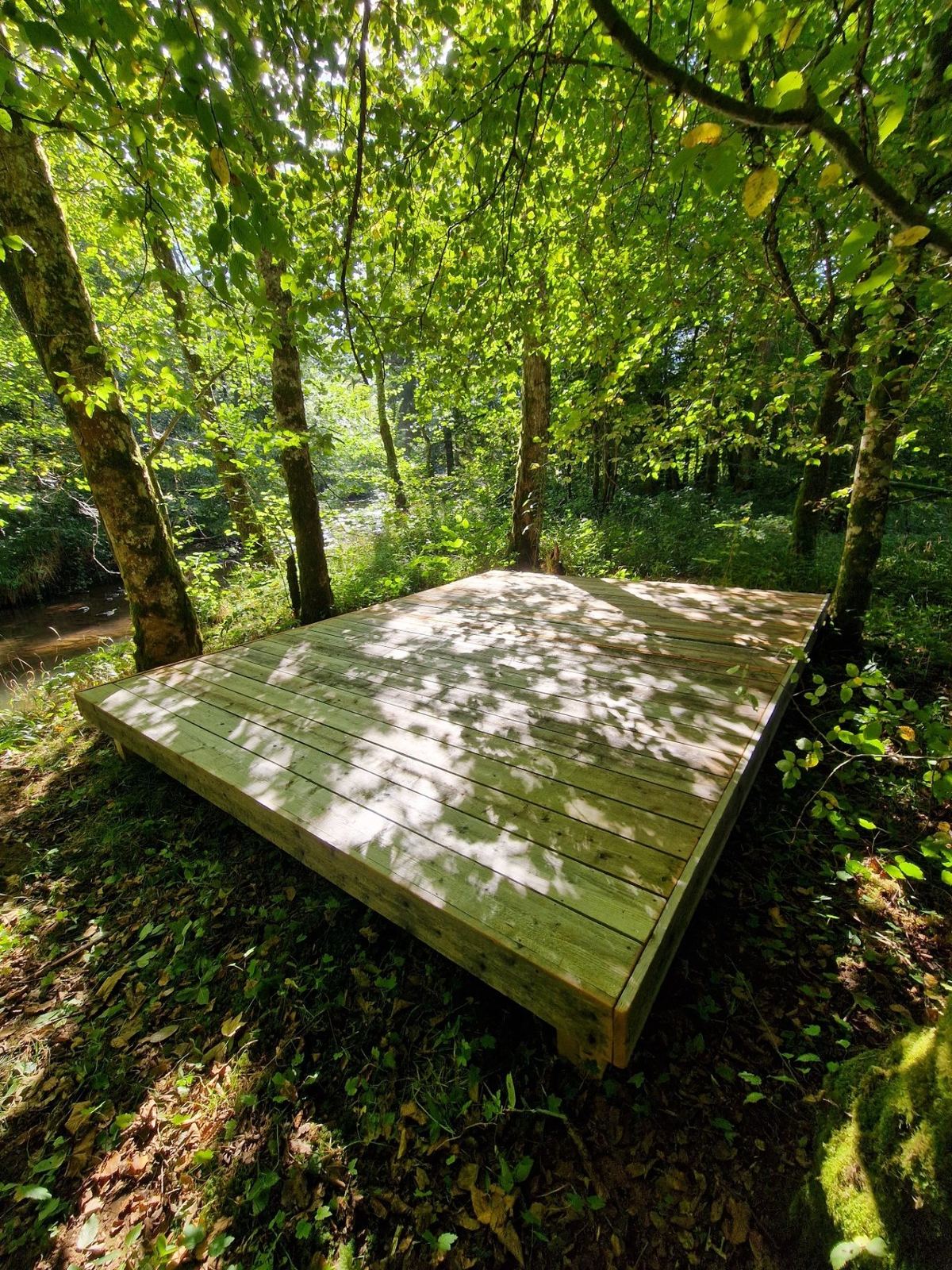 Platform in de natuur